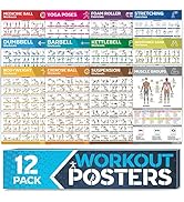 [12-PACK] Laminated Large Workout Poster Set - Perfect Workout Posters for Home Gym - Exercise Ch...