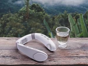 neck fan with cooling plate