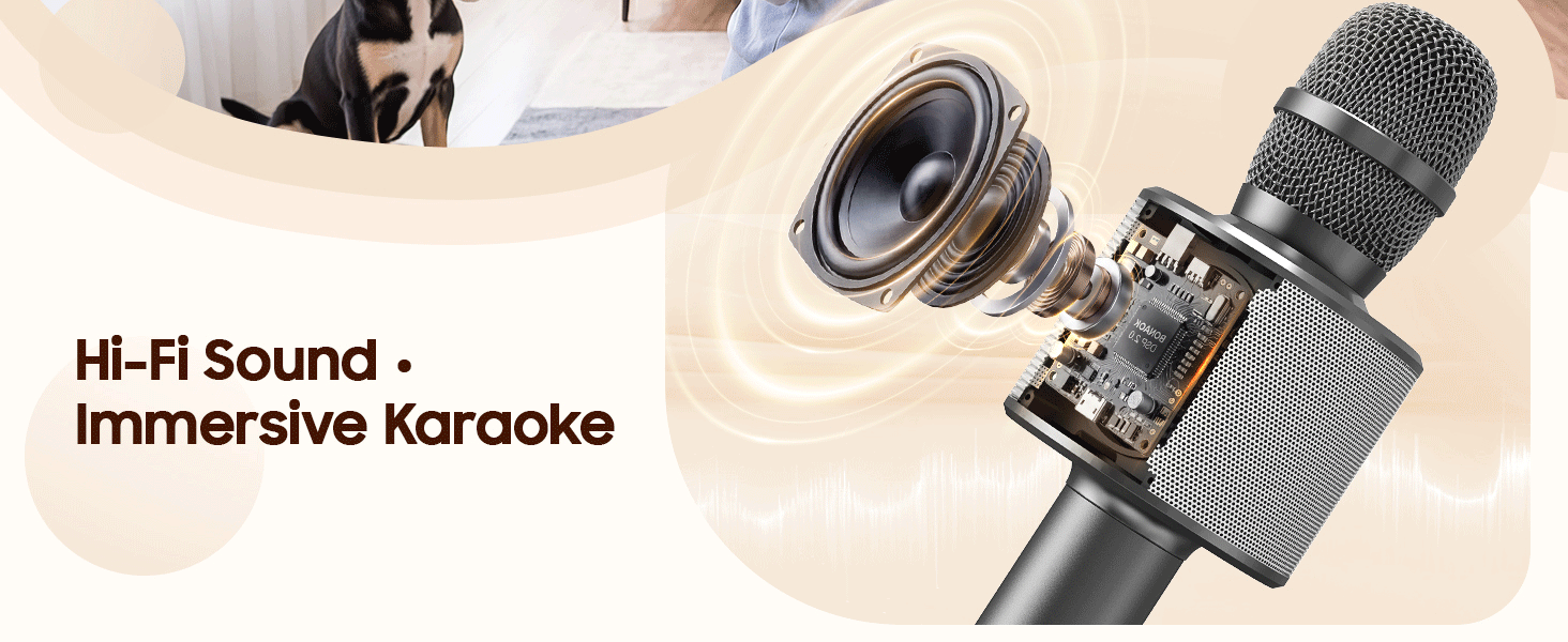 karaoke microphone