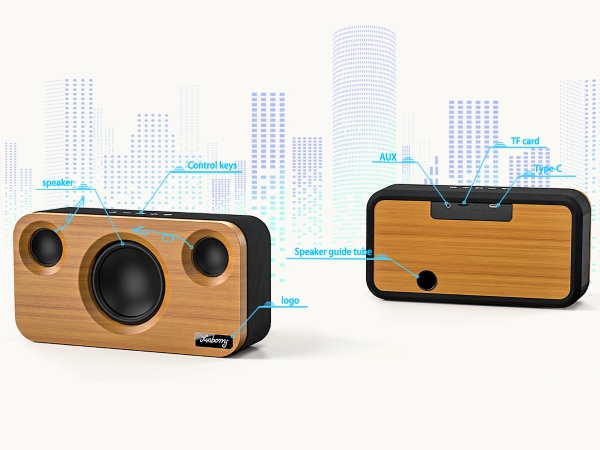 portable bluetooth speaker