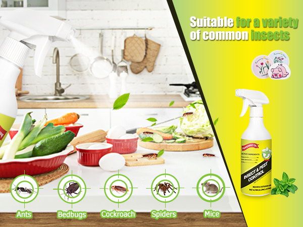 bug spray for home