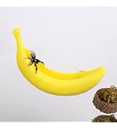 Daerky Jumping Spider Hide,Hidden Shelter for Jumping Spiders, Safe Material, 3D Printed Feeding ...