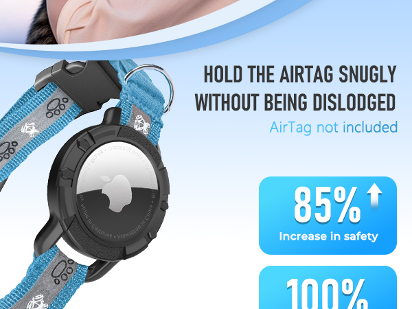cat collar airtag