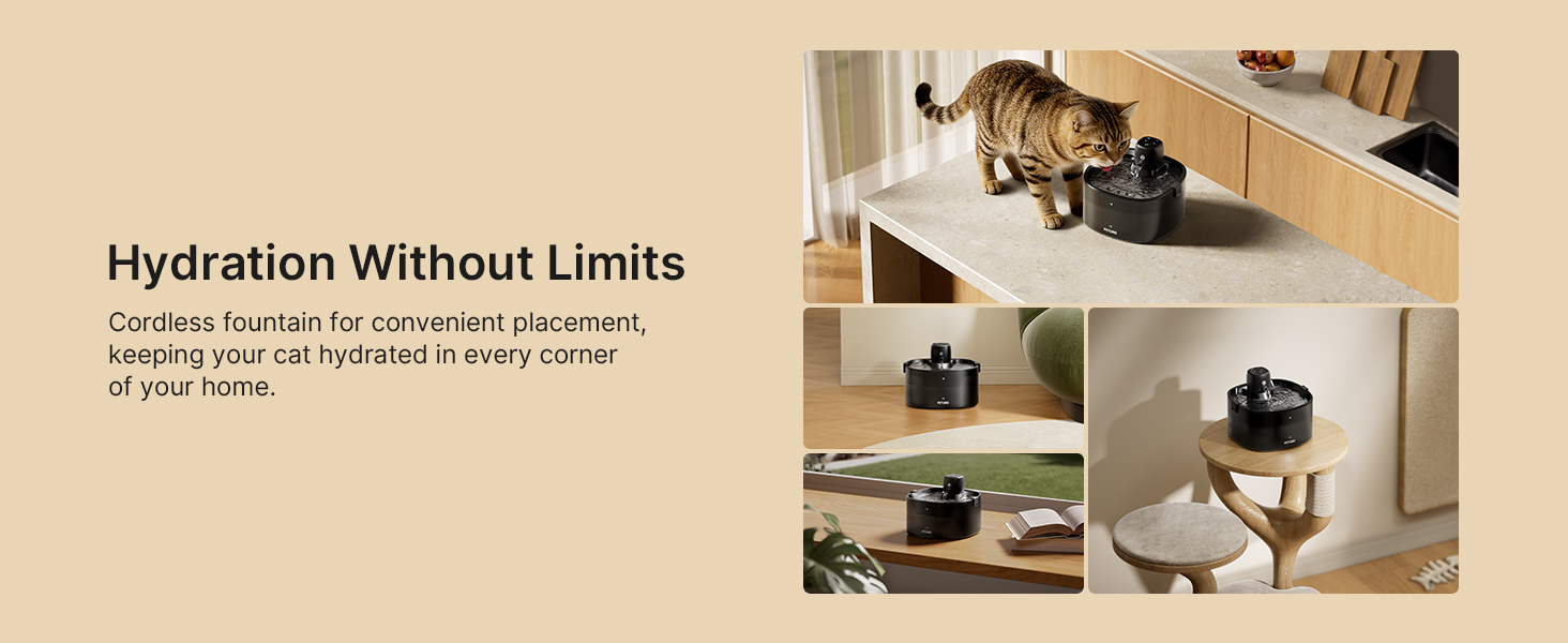wireless cat water fountain