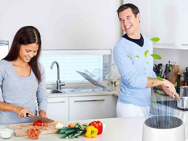 LQ-Mini-AA-1200900-A03BA