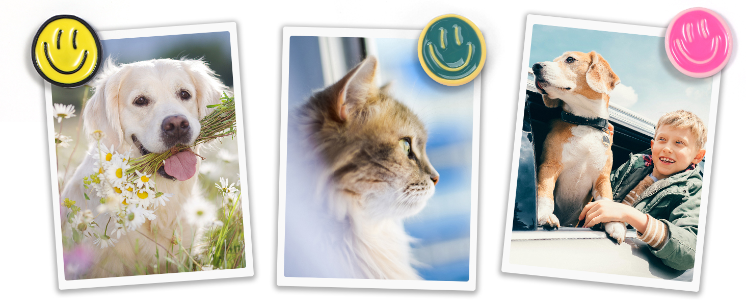 thumb tacks for wall