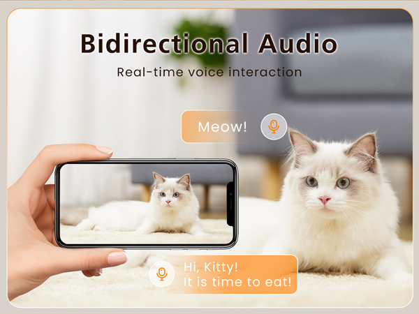 Automatic cat Feeder