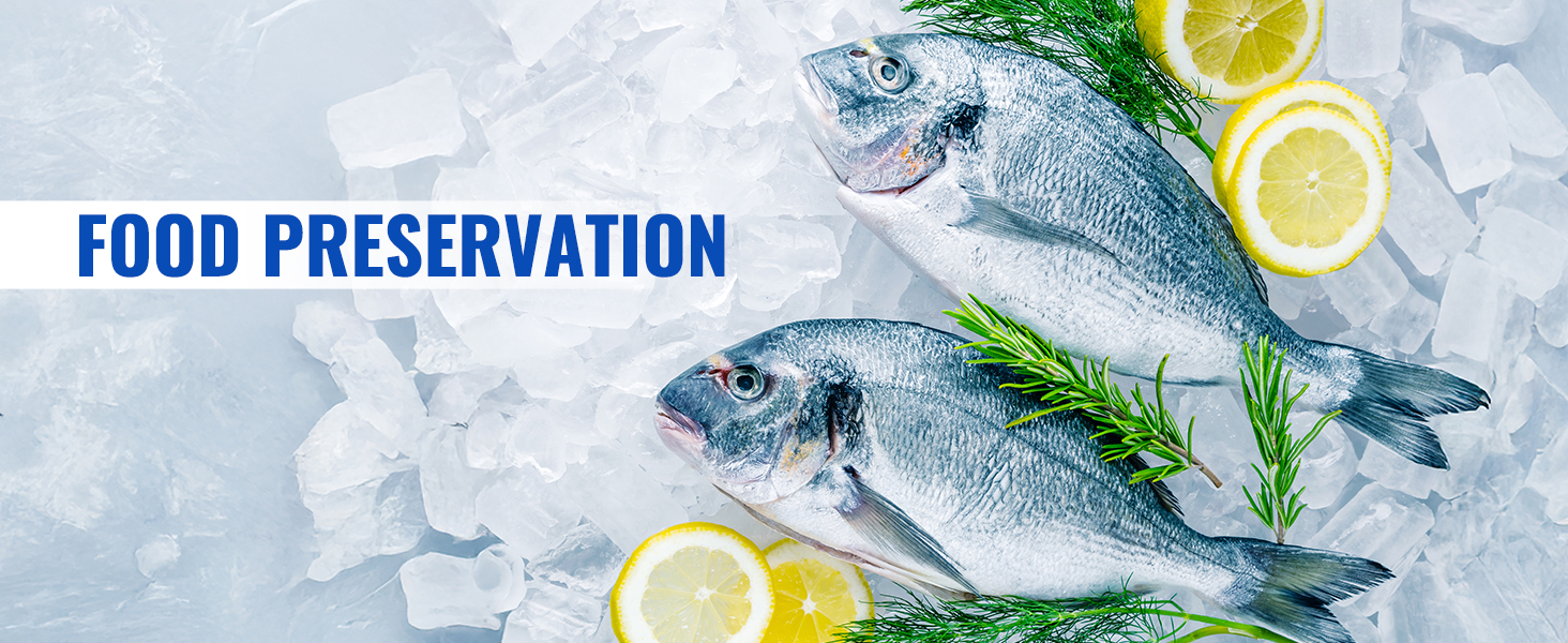 ice maker for food preservation