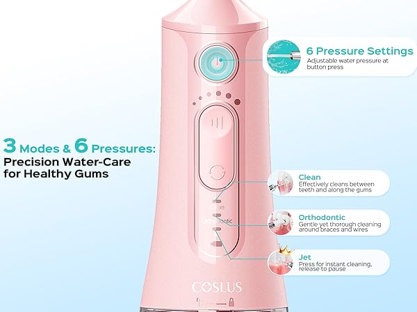 electric toothbrush with water flosser