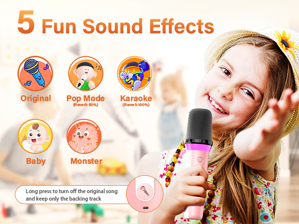 Portable Bluetooth Speaker with 2 Wireless Microphone