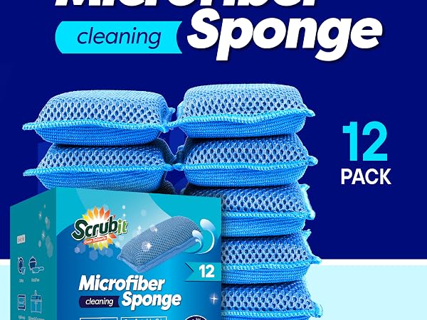 dish sponge