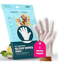https://m.media-amazon.com/images/I/516SAdGtemL.__AC_SR200,225___.jpg