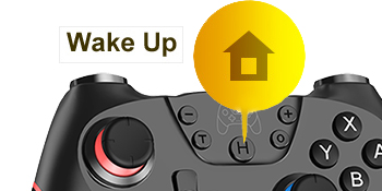 switch lite controller