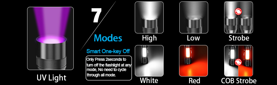UV Flashlight