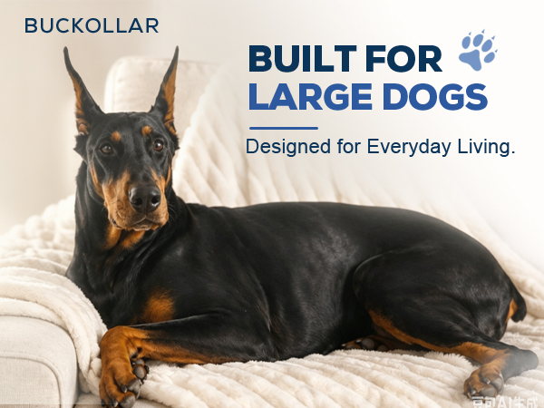 Doberman on cream sofa with BUCKOLLAR large dog branding.