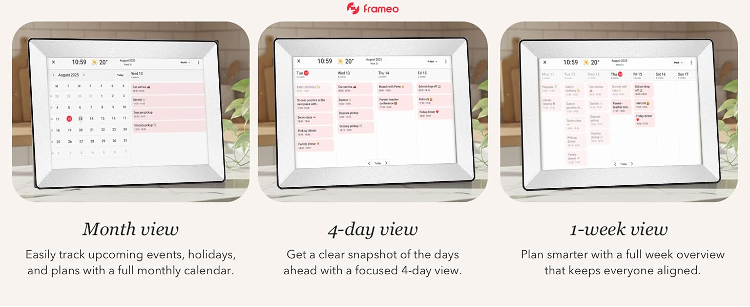 digital picture frame large