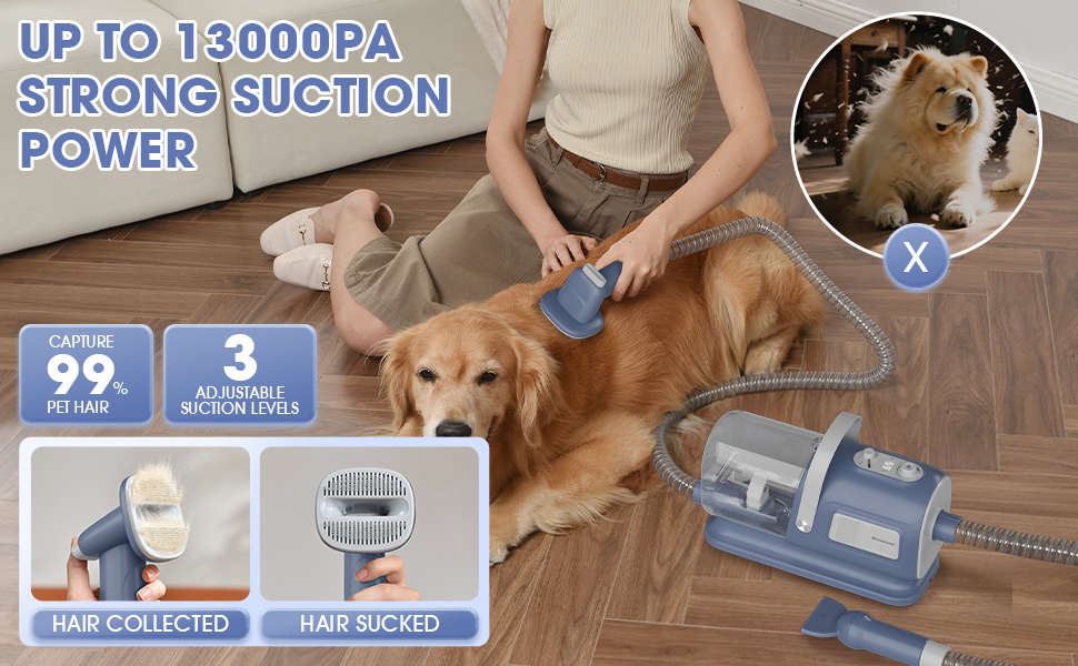 dog grooming vacuum