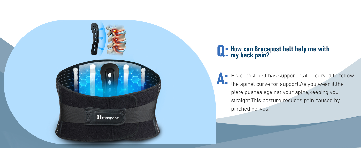 lumbar and back support belt