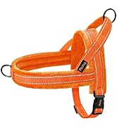 Didog Soft Flannel Padded Dog Vest Harness, No Pull/Quick Fit Reflective Dog Strap Harness, Easy ...