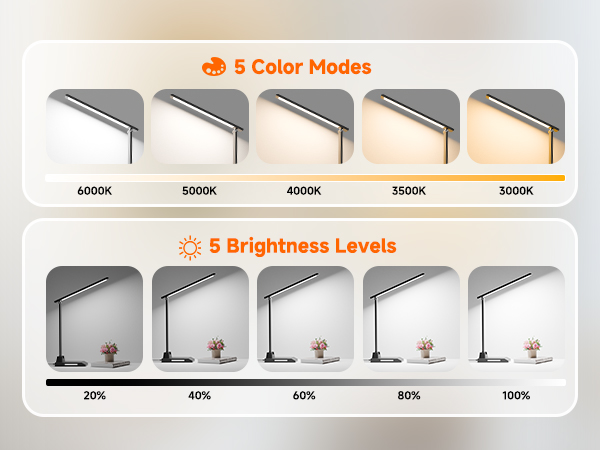 25_Lighting_Combinations_LED_Light