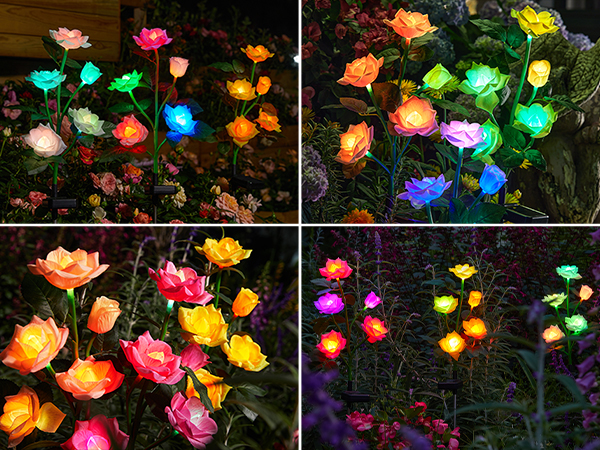 path lights