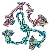 2Pack Dog Ropes