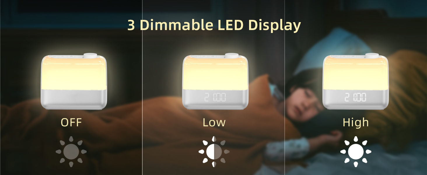 3 Dimmable LED Display