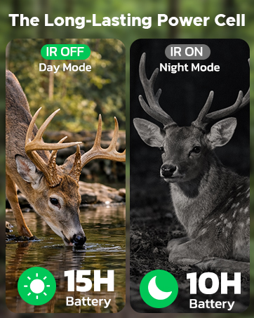 night vision goggles