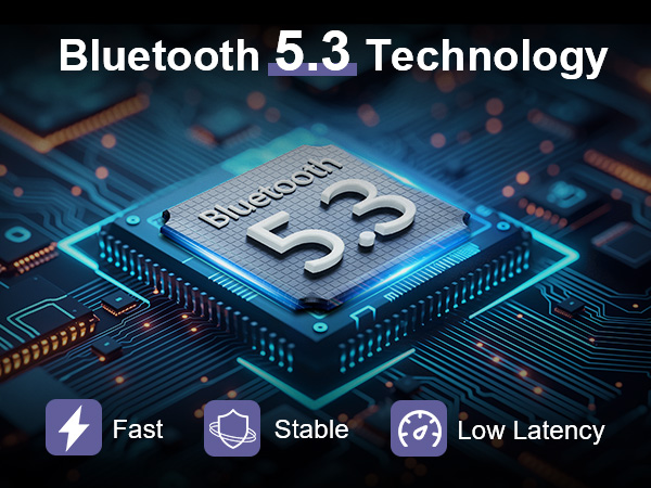 Bluetooth 5.3 Transmitter Receiver