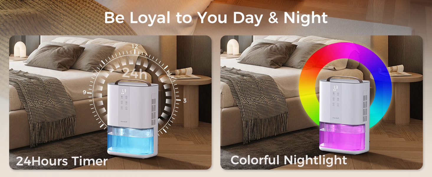 Dehumidifiers for Home