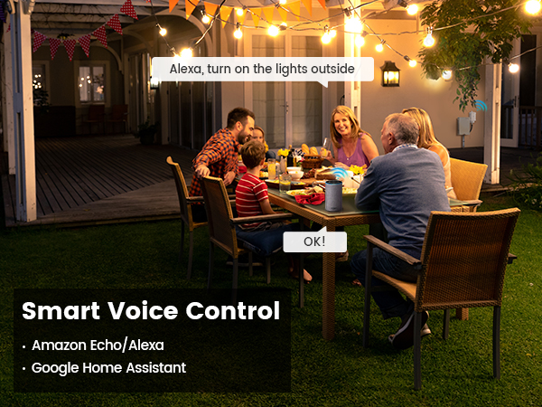 outdoor wifi timer