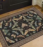 Small Black Entryway Rug - 2x3 Front Door Rug Indoor Entrance, Small Carpet for Kitchen Floor, Ba...