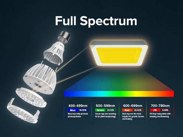 PAR25 24W GROW LIGHT BULB