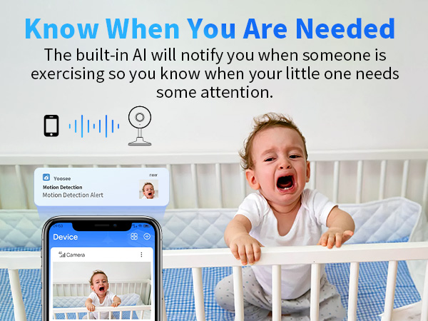 Indoor Security Cameras