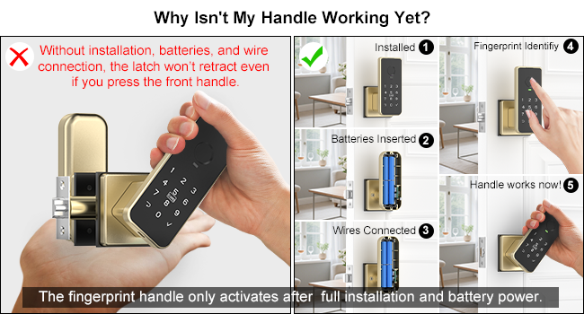 Fingerprint door handle gold