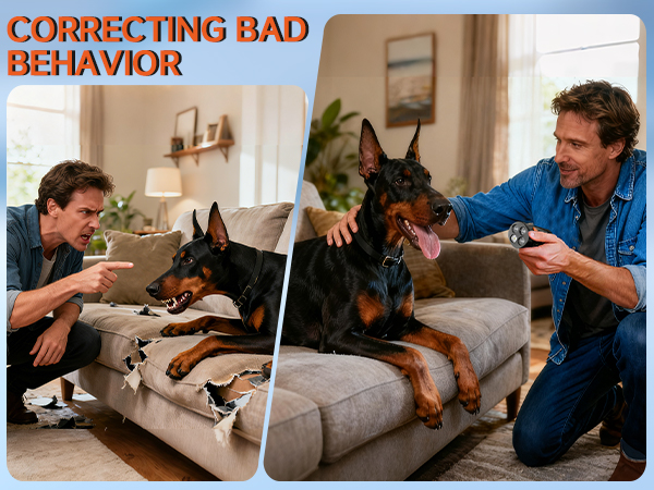 Dog Bark Deterrent Device