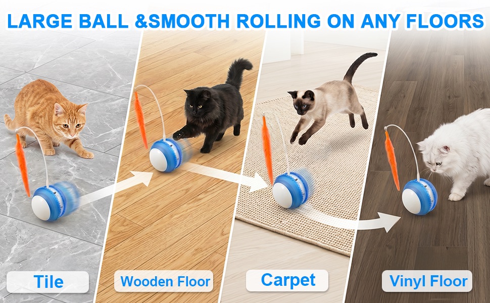 cat toy ball
