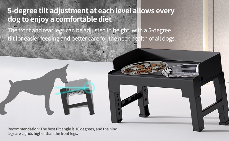 Elevated Dog Bowls