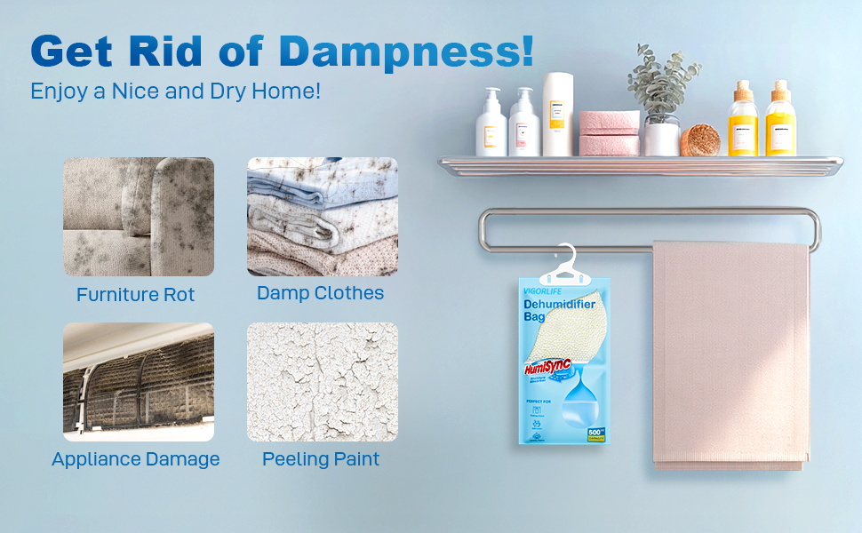 dehumidifier