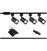 Hiiglxii 4-Light LED Track Lighting Kit with 3.3FT H Track Lighting Rails &amp; Floating Canopy Conne...