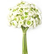 Waipfaru Ranunculus Artificial Flowers, 18Pcs 14In Fake Peonies Artificial Flowers, Faux Flower f...