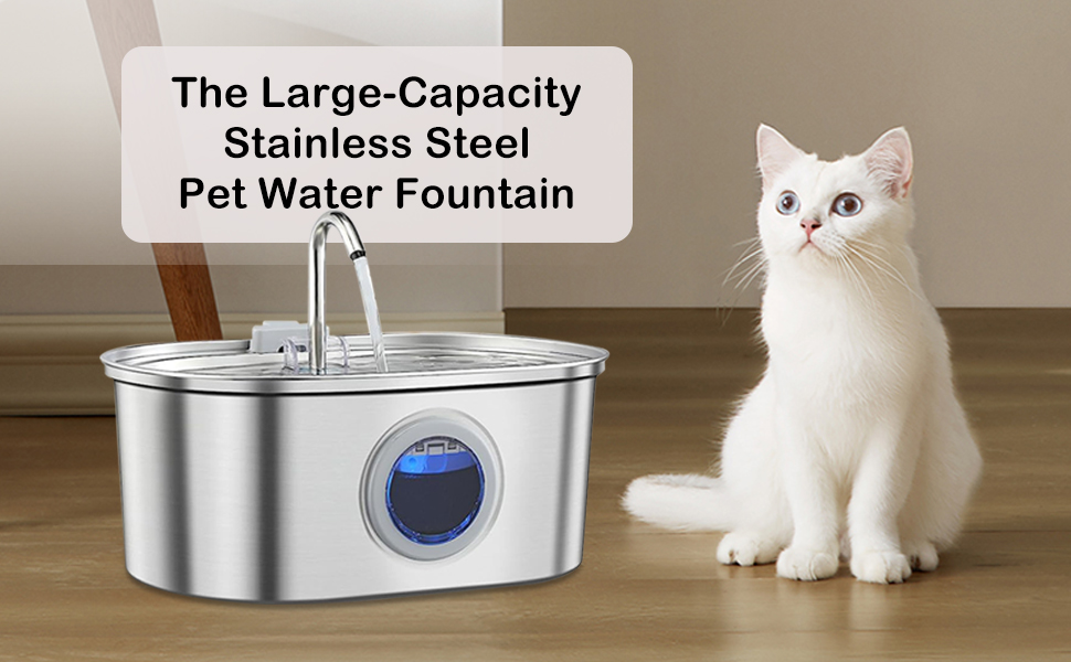 cat water fountain