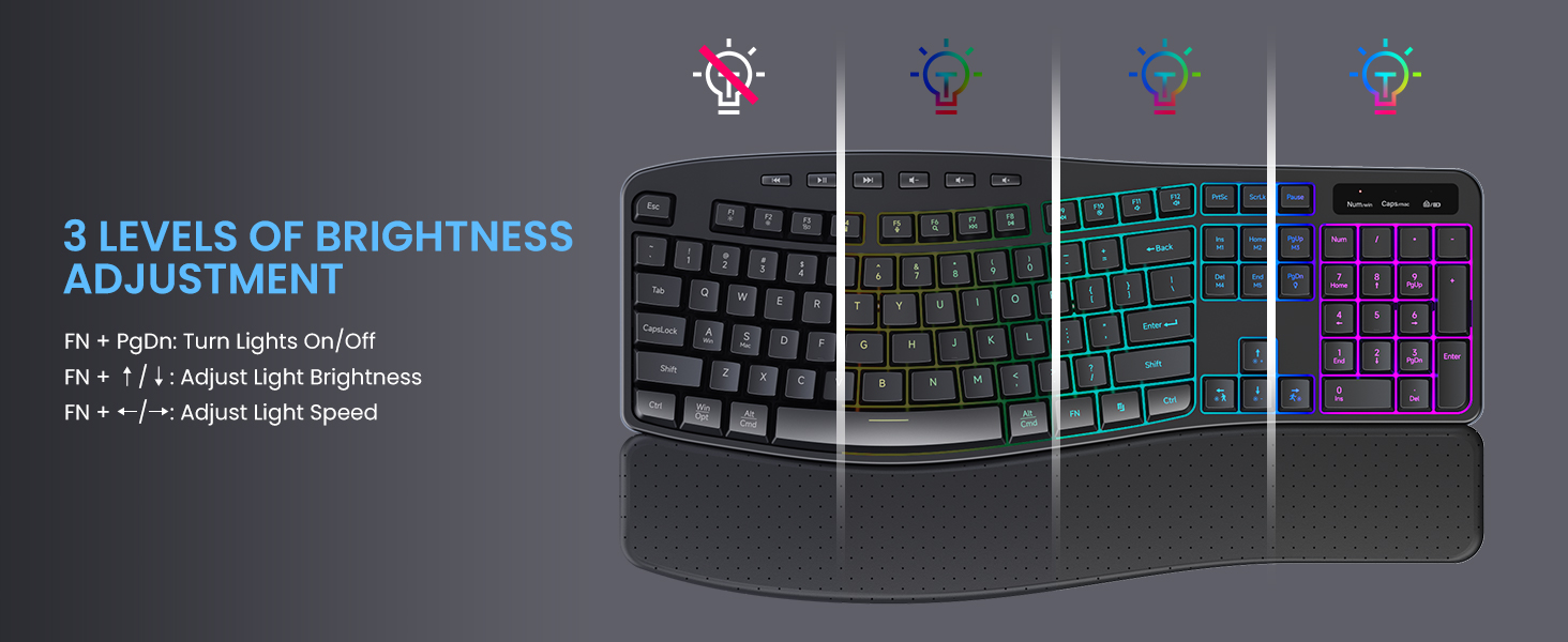 computer keyboard wireless