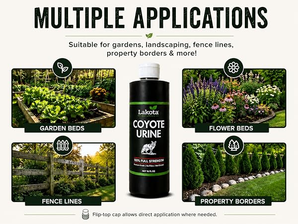 multiple applications