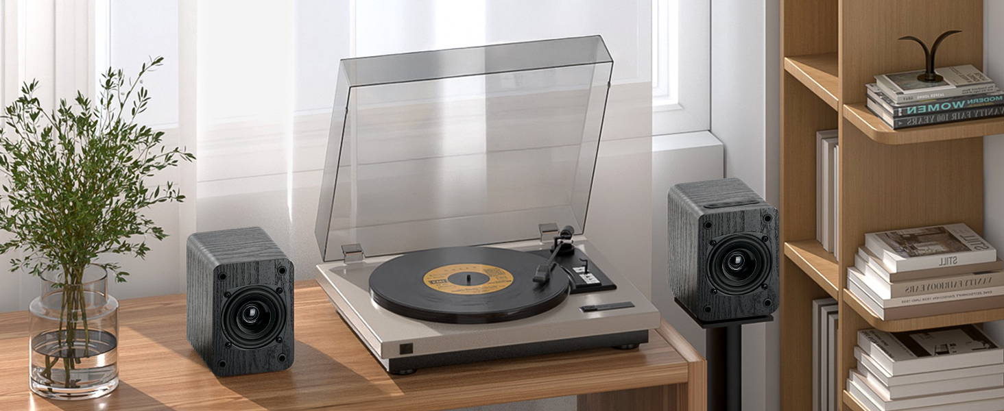 speakers for record player