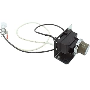 igniter assembly kit replacement 