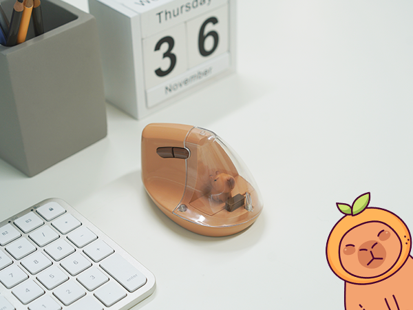 ergonomic mouse