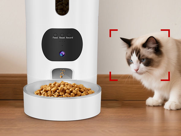 cat feeder automatic
