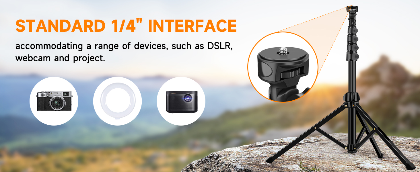 Tripod for phone and camera