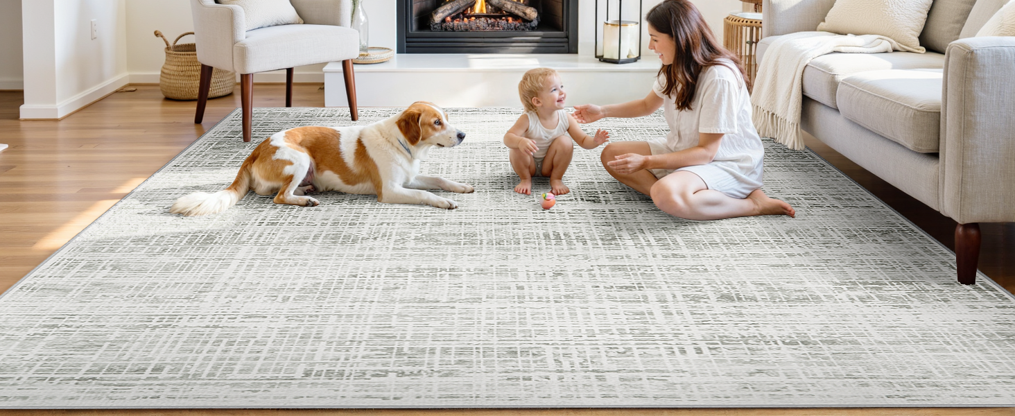 Area Rug Living Room Rugs
